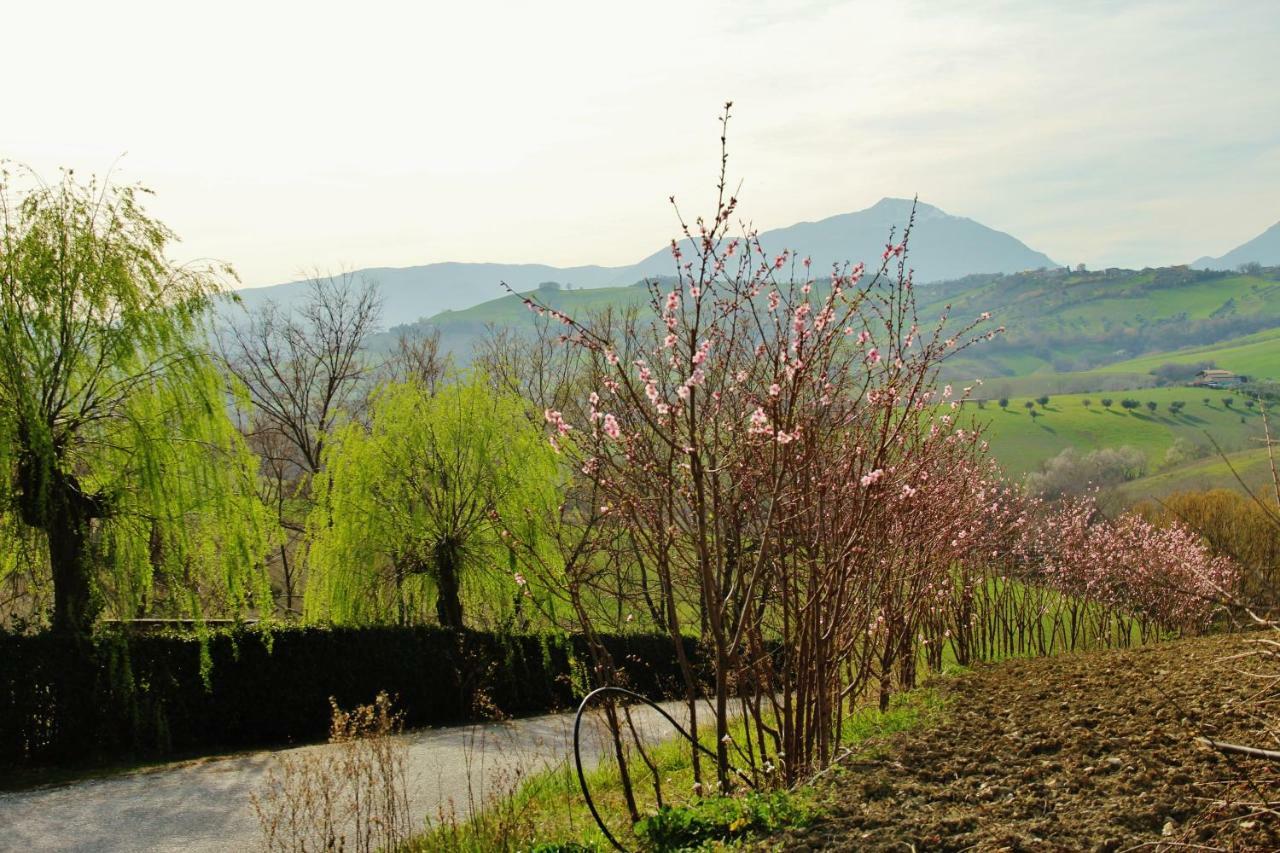 Casa Di Campagna Villa De Luca Bellante Exterior photo